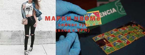бошки Няндома