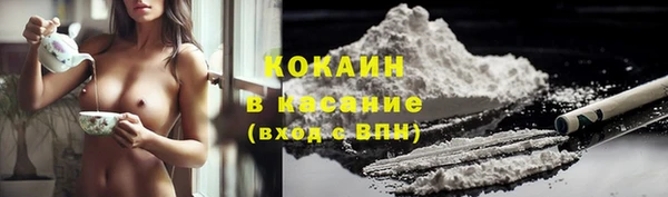 бошки Няндома