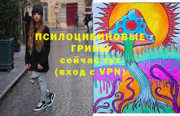 мдпв Нязепетровск