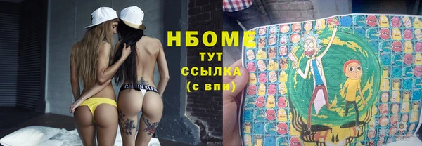 бошки Няндома