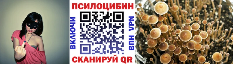 кракен вход  Усмань  Галлюциногенные грибы Psilocybe 